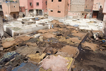 Image showing Skins in a berber  tannery.