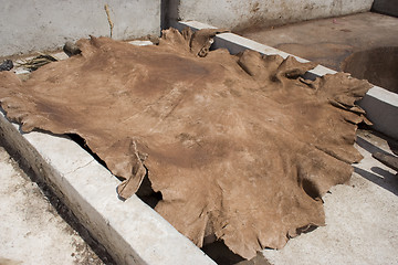 Image showing Skin in a berber tannery