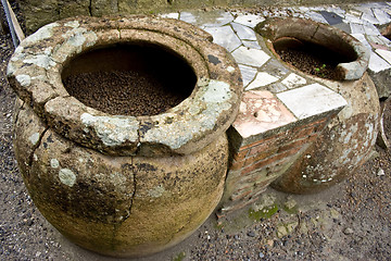 Image showing A thermopolium in Herculaneum 