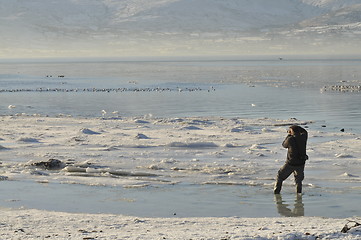 Image showing wildlife photography