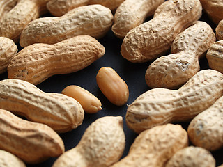 Image showing Peanut