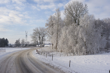 Image showing Winter countryside