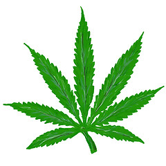 Image showing hemp