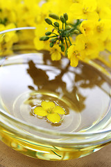 Image showing edible oil