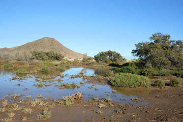 Image showing Nature in Spain