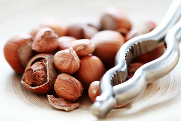 Image showing hazelnuts