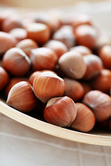 Image showing hazelnuts