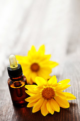 Image showing flower essential oil