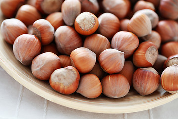 Image showing hazelnuts