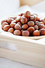 Image showing hazelnuts