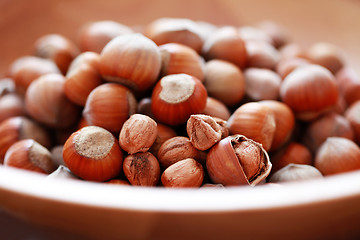 Image showing hazelnuts