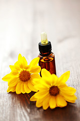 Image showing flower essential oil