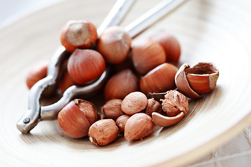 Image showing hazelnuts