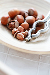 Image showing hazelnuts