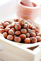 Image showing hazelnuts