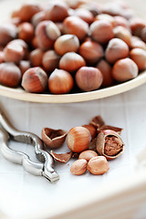 Image showing hazelnuts