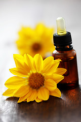 Image showing flower essential oil