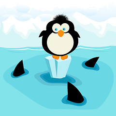 Image showing Penguin