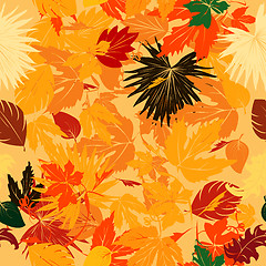 Image showing Fall leaves pattern