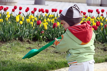 Image showing The child plays park