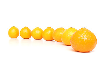 Image showing Mandarins isolated on white