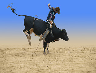 Image showing Bull Rider