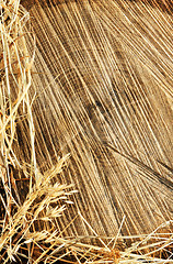 Image showing Detail of wooden cut texture and dry grass hay - frame