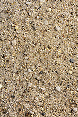 Image showing Detail of sand texture with small stones - background