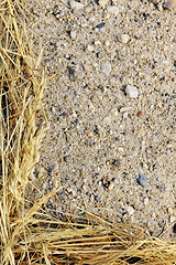 Image showing Detail of dry grass hay and sand - frame