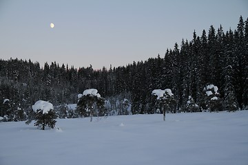 Image showing Winter landscape with moon