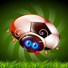 Image showing ladybug fan of football