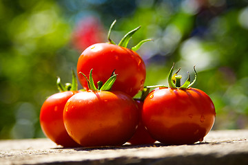 Image showing red tomatoes