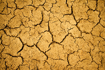 Image showing Cracked desert surface background