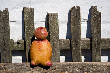 Image showing potato man