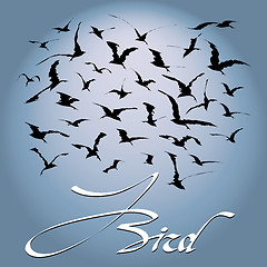 Image showing Flock of birds