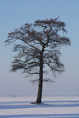 Image showing winter country 