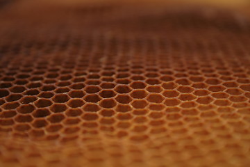Image showing beeswax wirhout honey 
