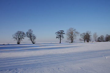 Image showing winter country 