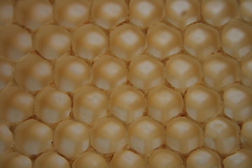 Image showing beeswax wirhout honey 