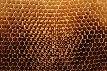 Image showing beeswax wirhout honey 