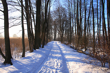 Image showing winter country 