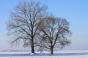 Image showing winter country 