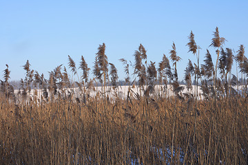Image showing winter country 