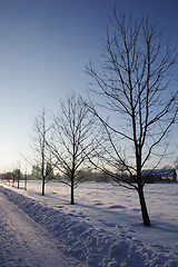 Image showing winter country 