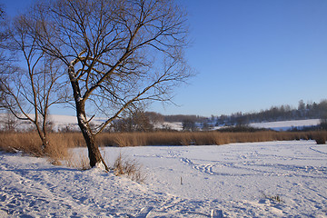 Image showing winter country 