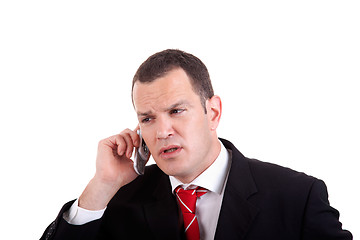 Image showing businessman on the phone