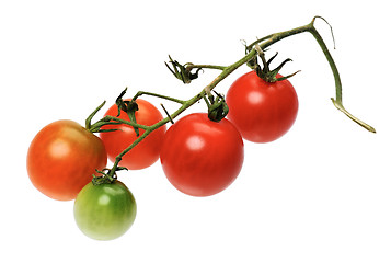 Image showing Red tomatto, isolated