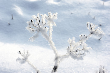 Image showing Winter landscape