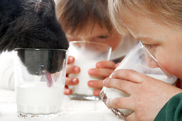 Image showing children and cat drinking milk 