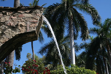 Image showing Tropical Garden